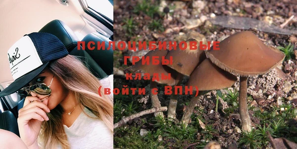 кокс Ельня