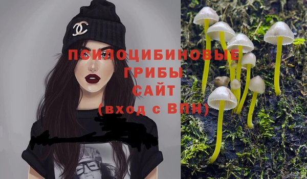 кокс Ельня