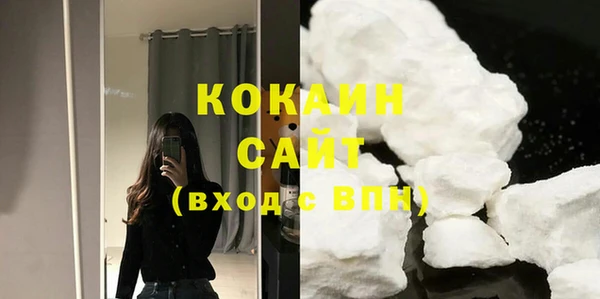 кокс Ельня