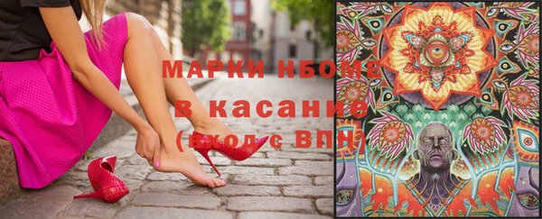 кокс Ельня